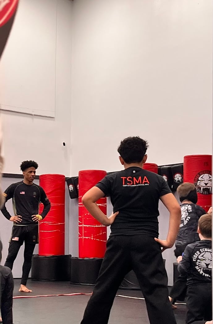 Tiger Schulmann's Martial Arts (Upper East Side, Manhattan, NY) 3