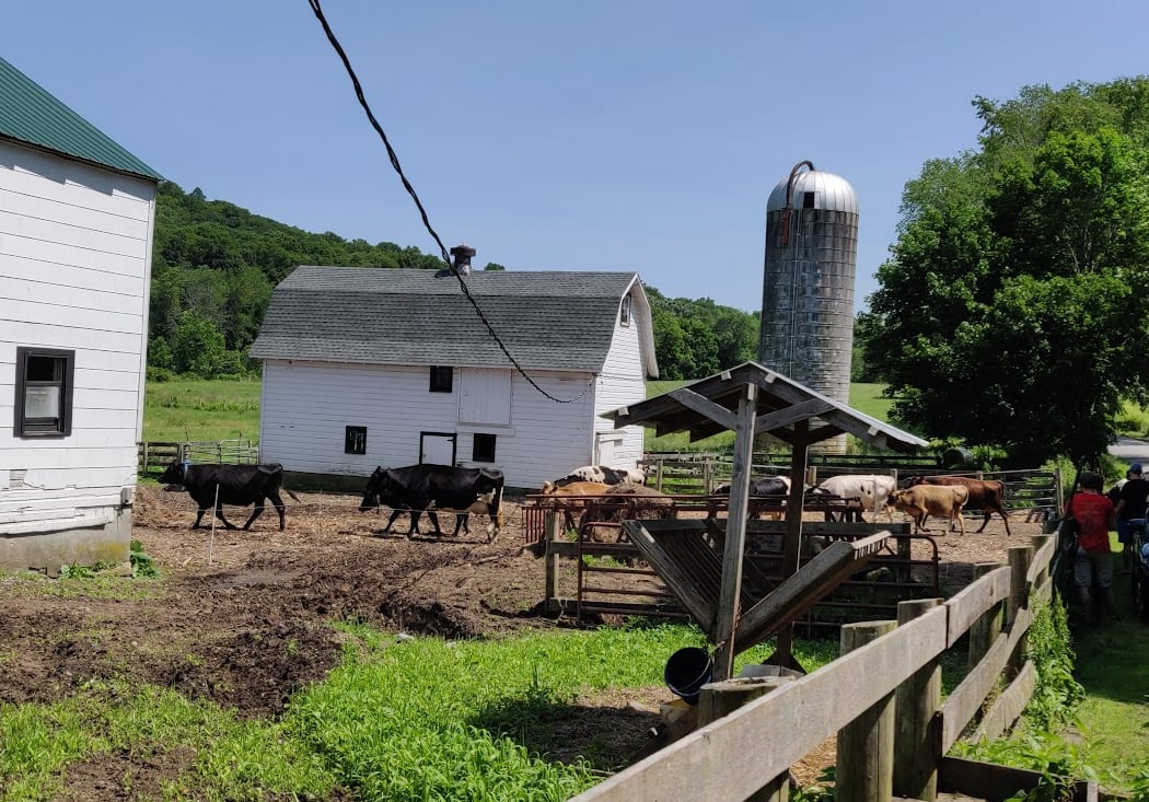 Chaseholm Farm Creamery 3