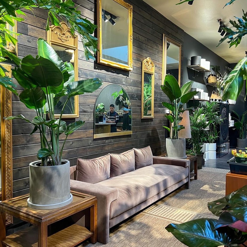 House of botanicals 3
