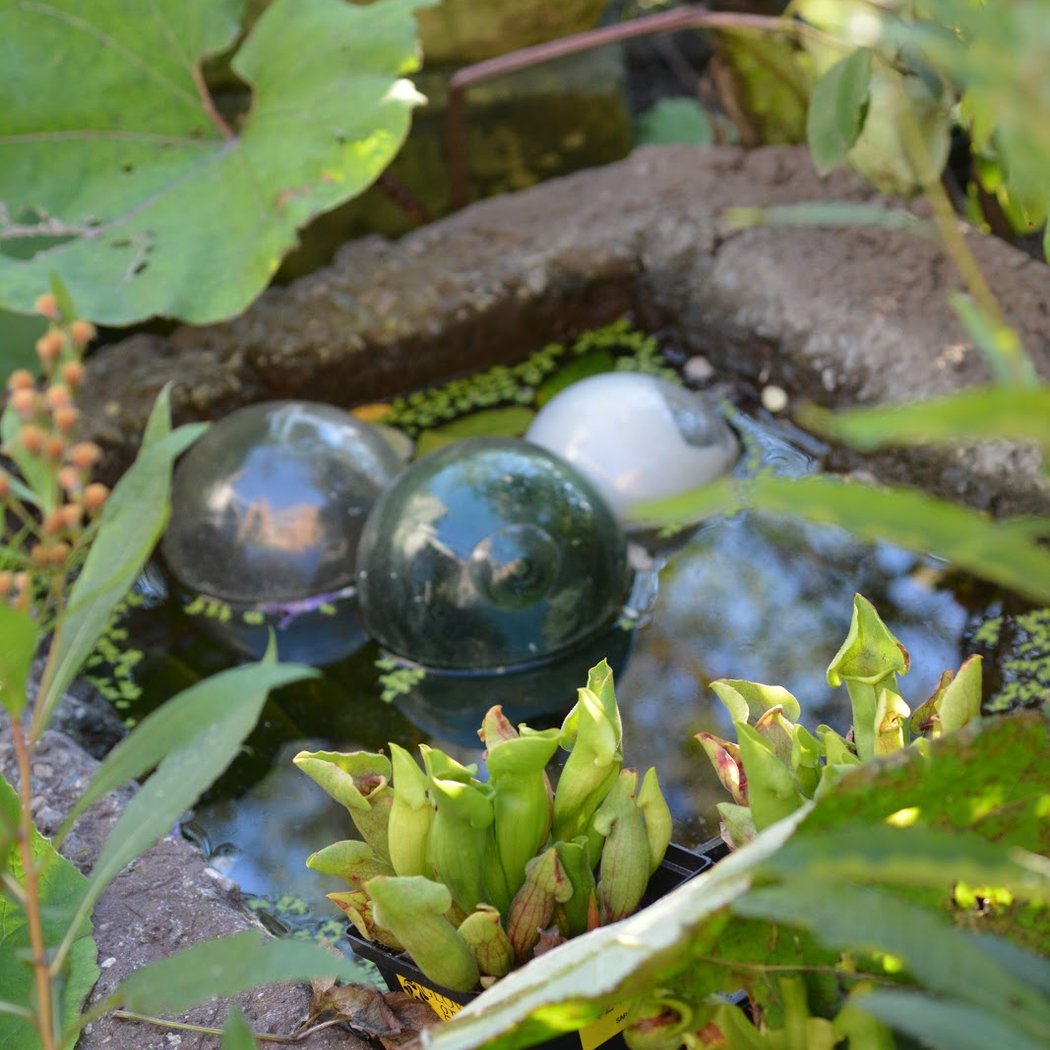 Gowanus Nursery 3