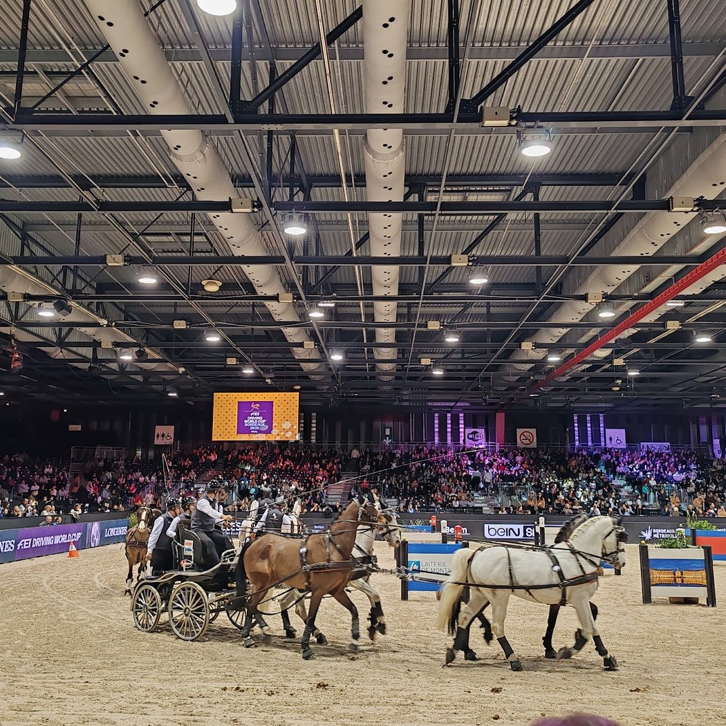 Foire internationale de Bordeaux 3
