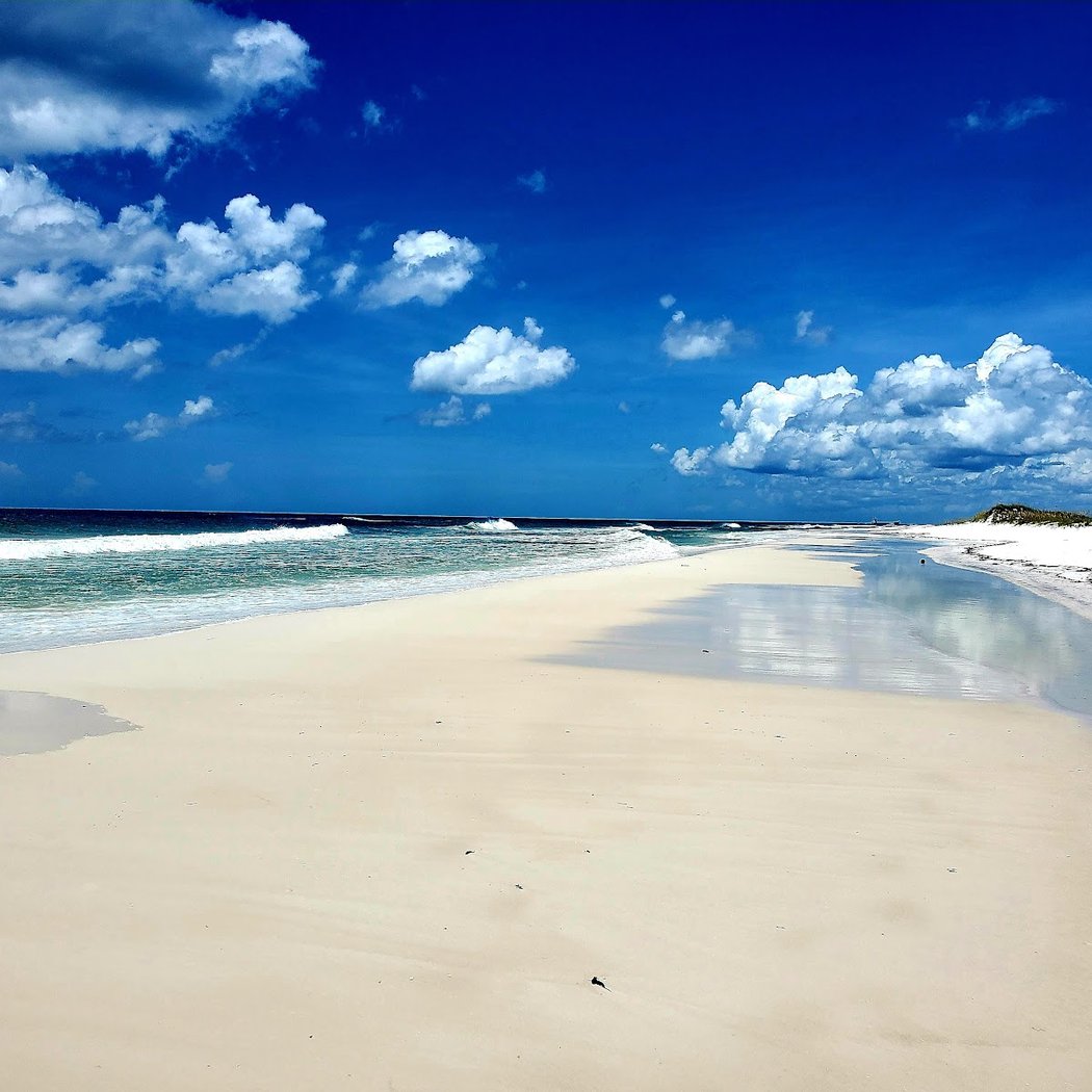 Shell Island 1