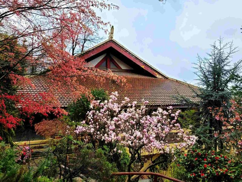 Pagode Trúc Lâm Thiền Viện - Association Des Boudhistes Vietnamiens En France 1