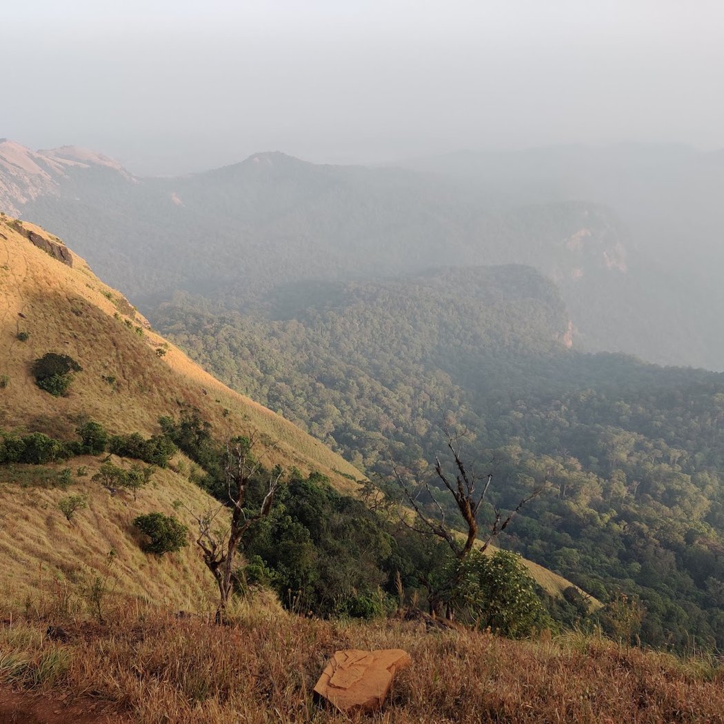 Kodachadri Trek Trail 4