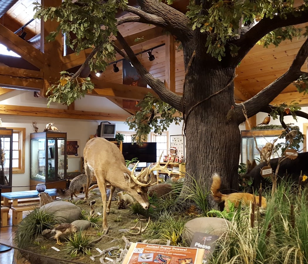 Animal Encounters 2