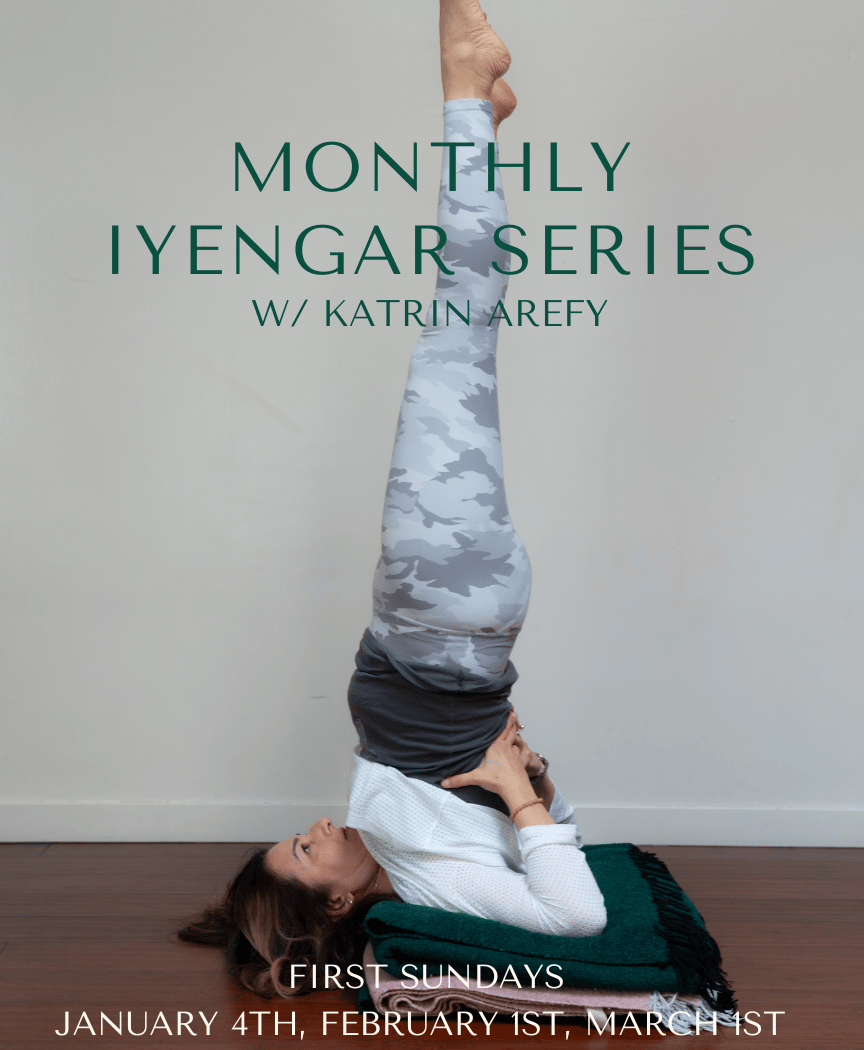 Monthly Iyengar Series with Katrin Arefy 1