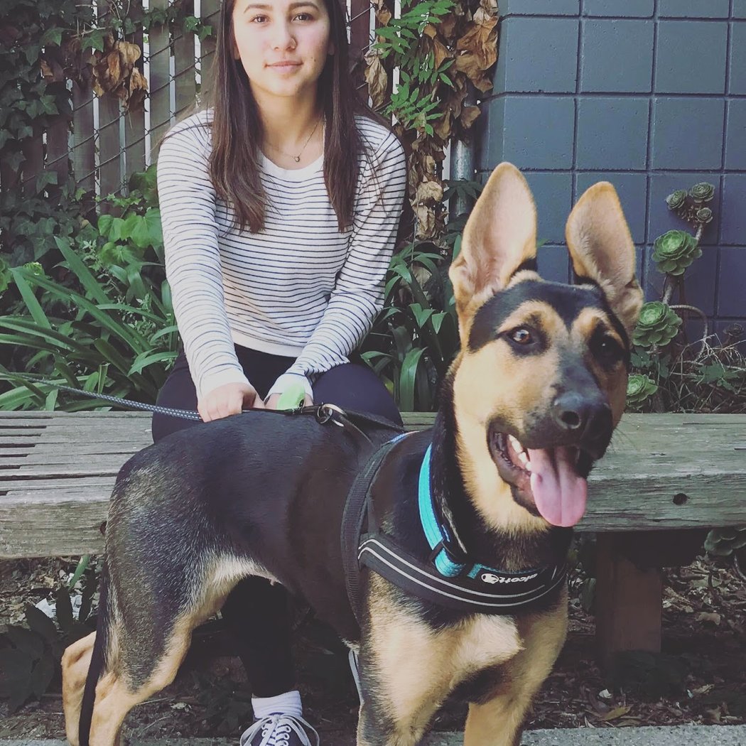 Meet Zeus at FAAS 3
