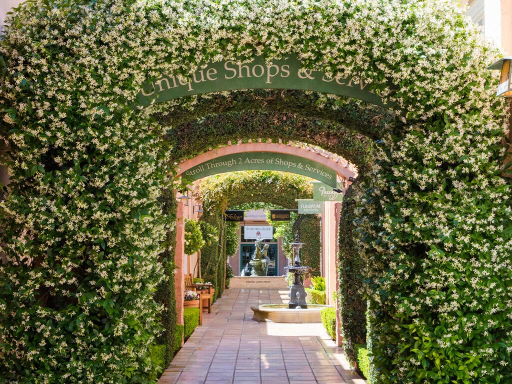 Sonoma Court Shops 1