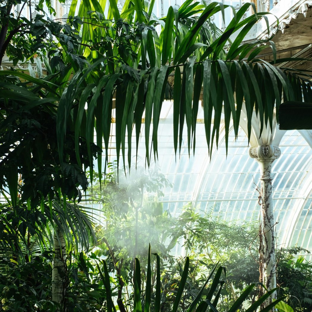 Royal Botanic Gardens, Kew 4