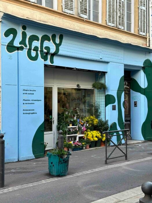 Ziggy | Fleuriste Marseille 2