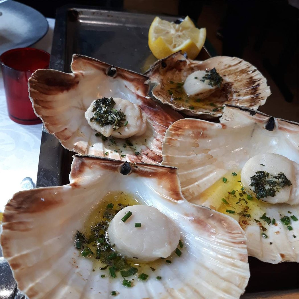 LE VIVIER DE LA MER 1