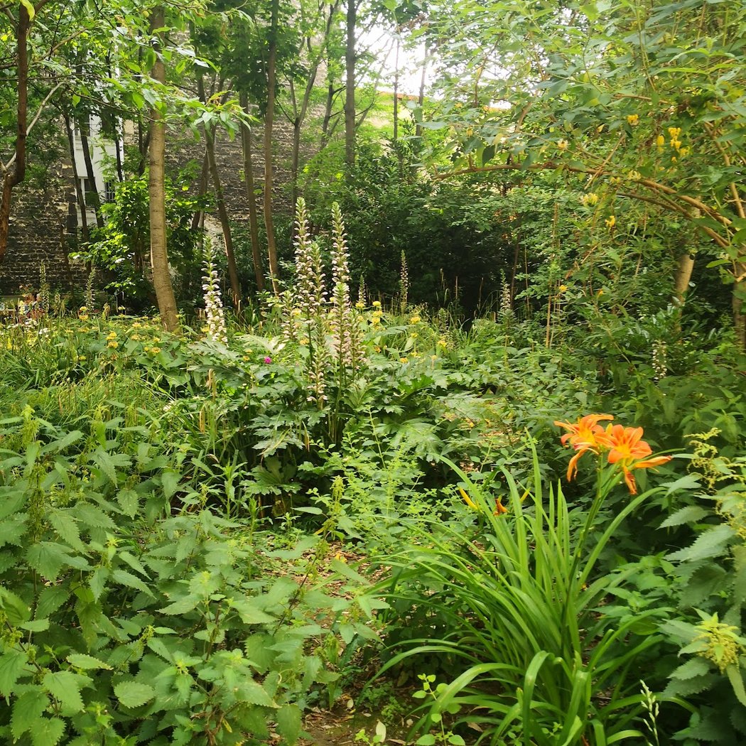 Vide-grenier du jardin partagé Le Bois Dormoy 3