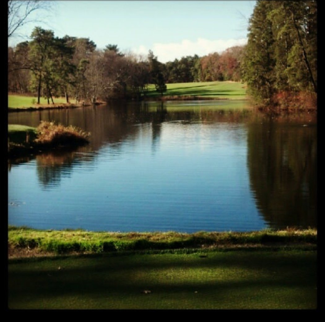 Curtis Cup 3