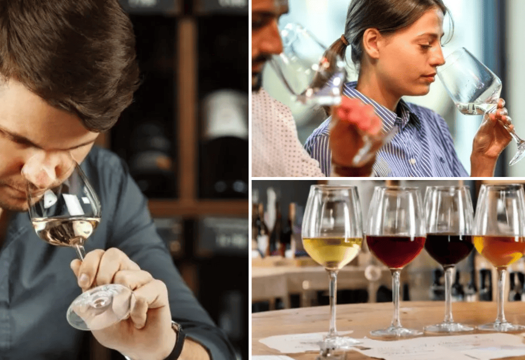 Weeno - Vins, spiritueux, bières et sakés - Formation WSET - Marseille 3