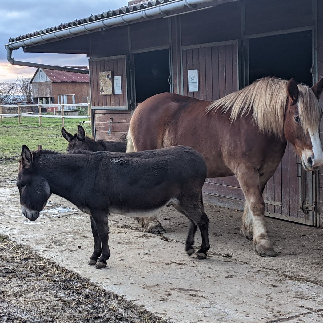 La Ferme du Parc des Meuniers 1