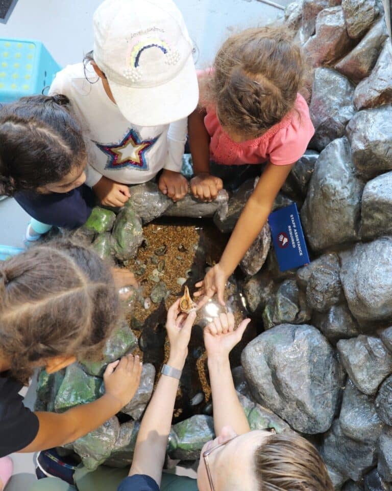 Open Hours at the Environmental Education Center