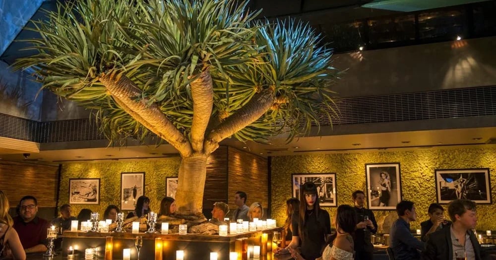 MyCheekyDate Saturday Night Speed Dating 2