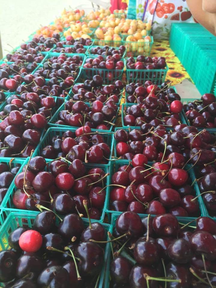 Campbell Farmer's Market 1