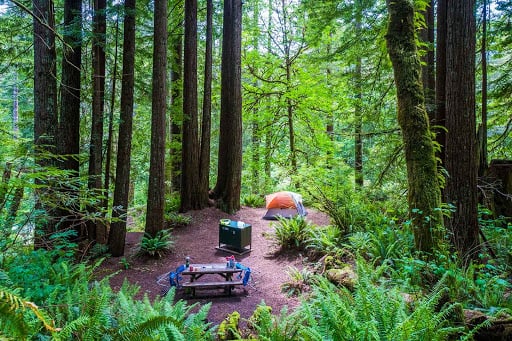 Day at The Woods 3