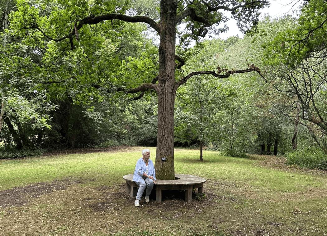 TREES Directed & Performed by Sam Green