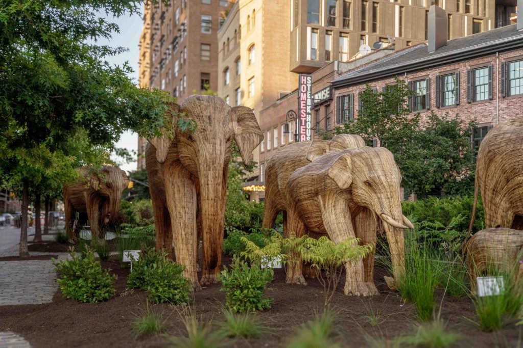 The Great Elephant Migration: A Coexistence Story 1