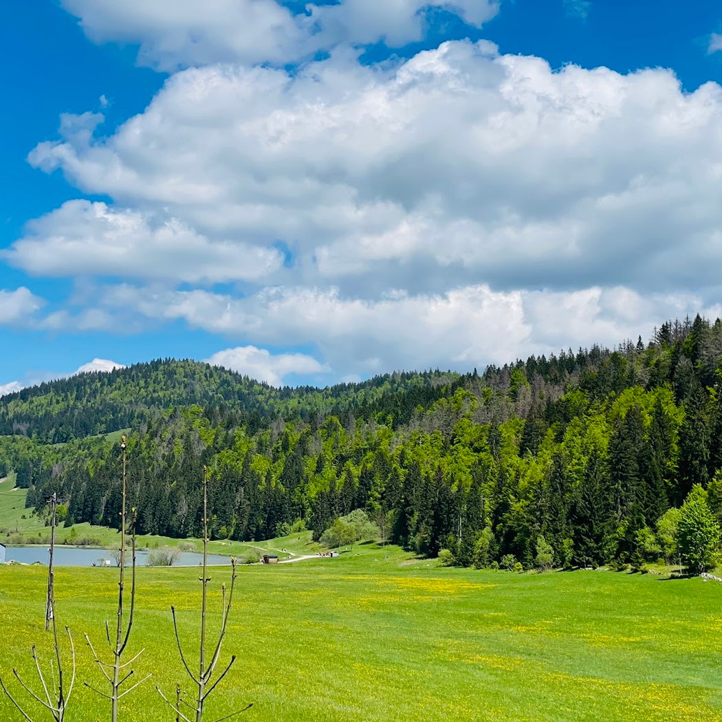 Parc naturel régional du Haut-Jura 3