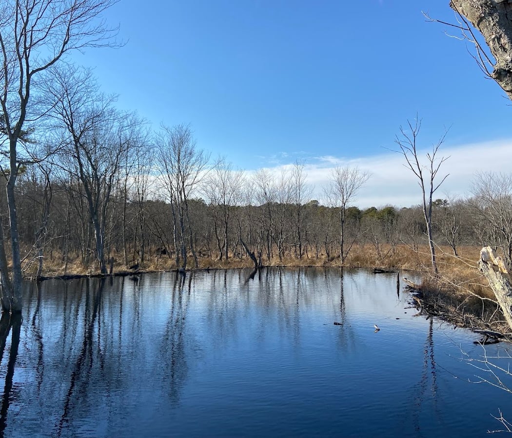Black Run Preserve 3
