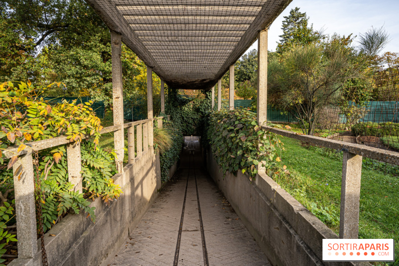 Jardin alpin 4