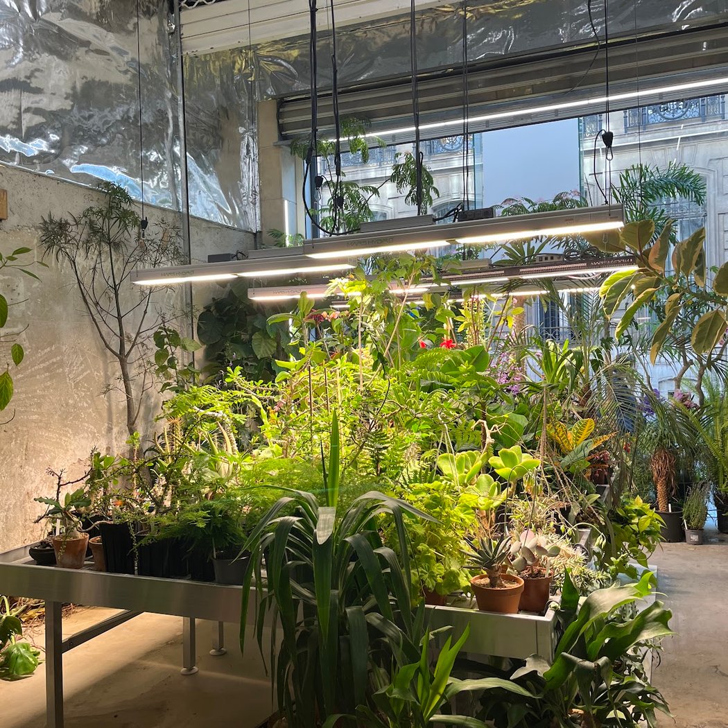 Jardinerie Akou 5