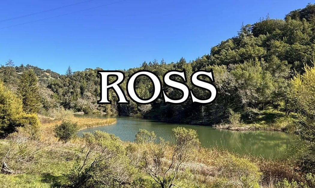 Ross Commons Park 1