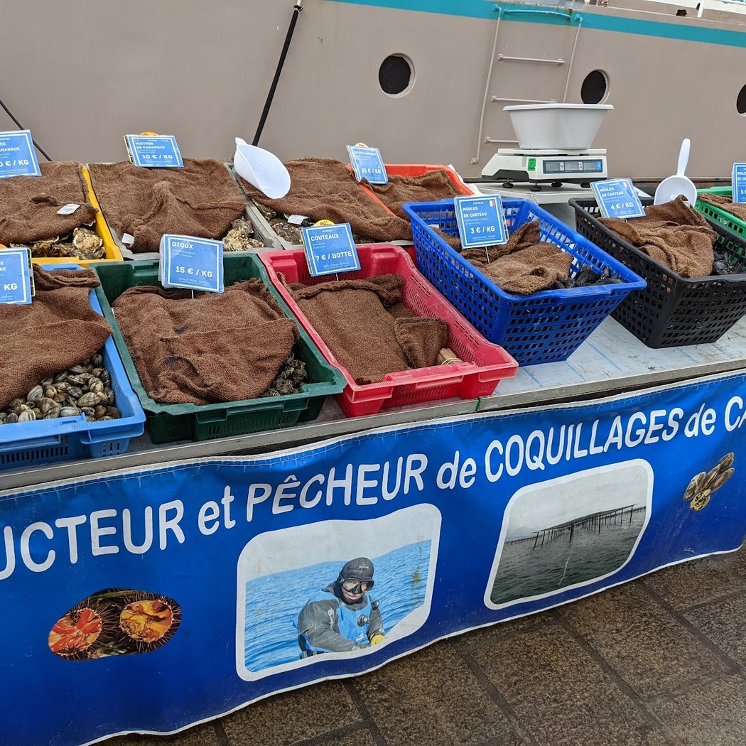 Coquillages du Vieux-Port de Marseille - Sonia et Ahmar Bendjema 3