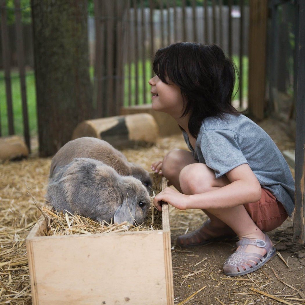 LES ANIMAUX DE LA FERME