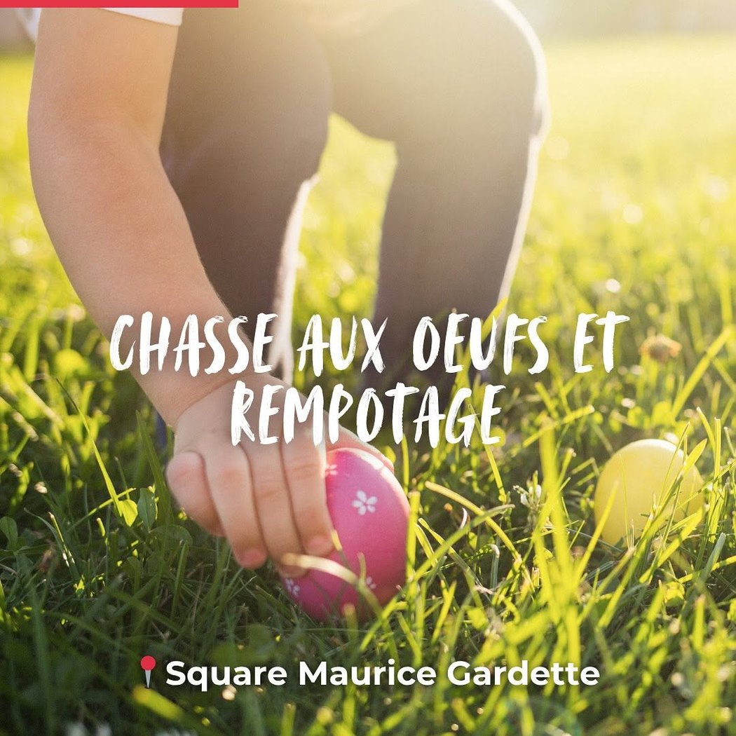 Chasse aux Œufs et Rempotage 1