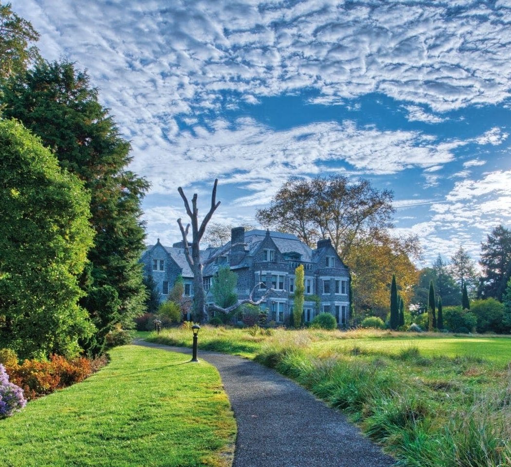 Stoneleigh: a natural garden 1
