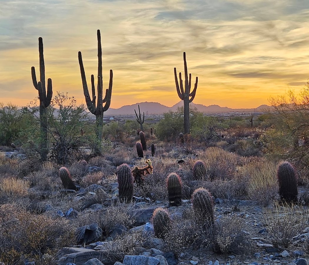 Scottsdale Desert Classic Guided Hiking Adventure 5