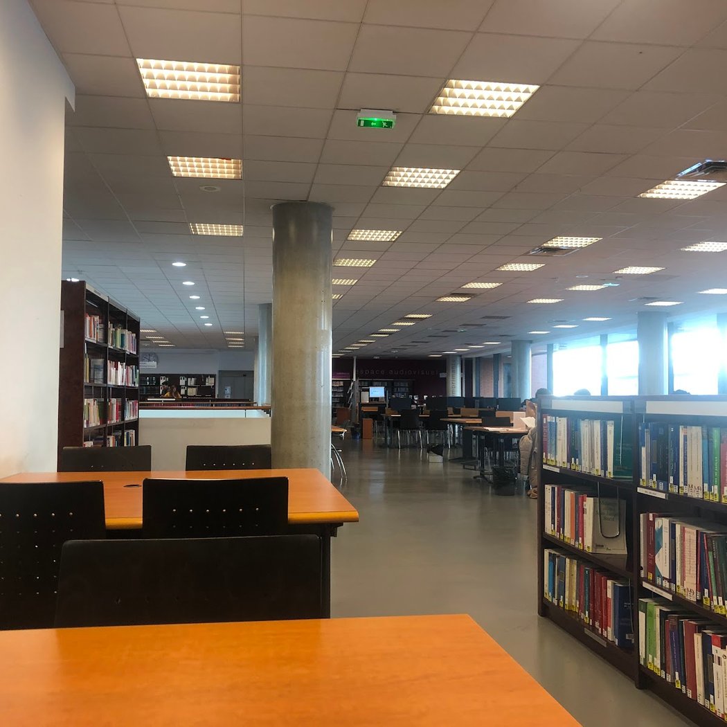 Halloween s'invite dans vos bibliothèques 3