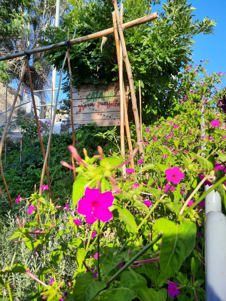 Weekly Community Garden Work Day & Composting at Satalia Green Guerrilla 3