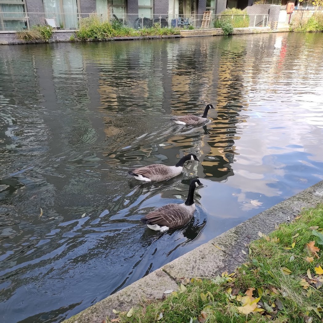 Little Venice 3