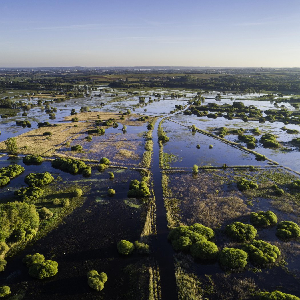Balade - Vue sur le Marais de Goulaine 1