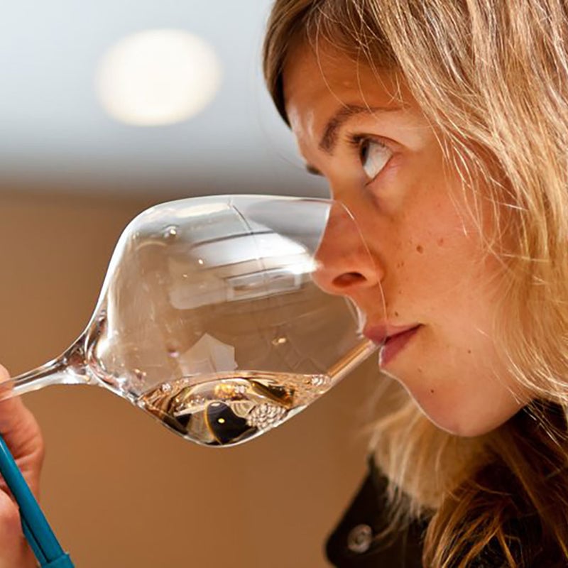 Blind Wine Tasting Conclusions & Testing Techniques 1