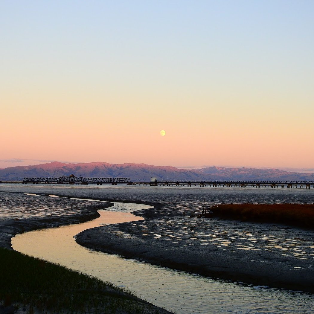 Dumbarton Bridge Vista Point and Trail 1