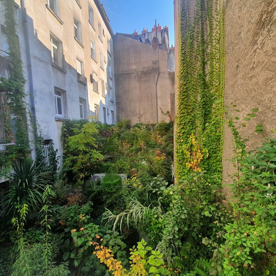 Jungle interieure, Voyage à Nantes 3