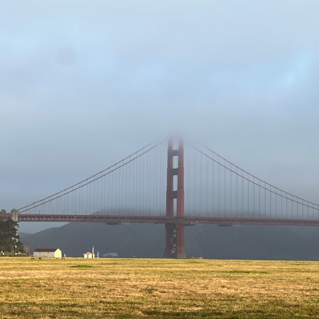 Crissy Field Marsh 3
