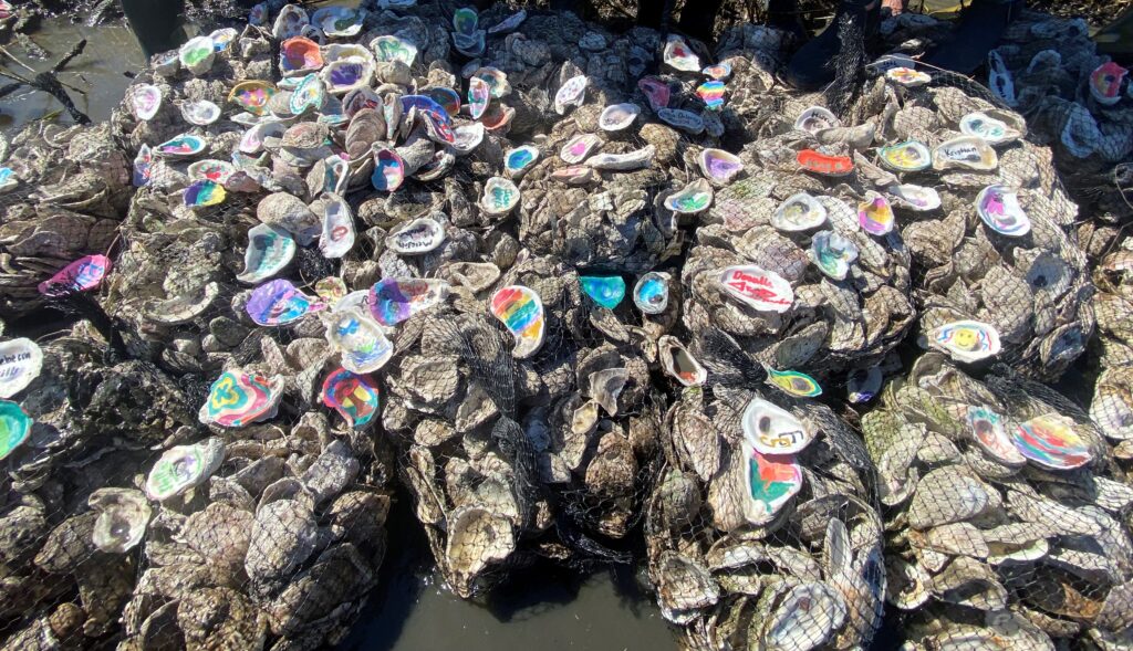Oyster Shell Bagging Event 3