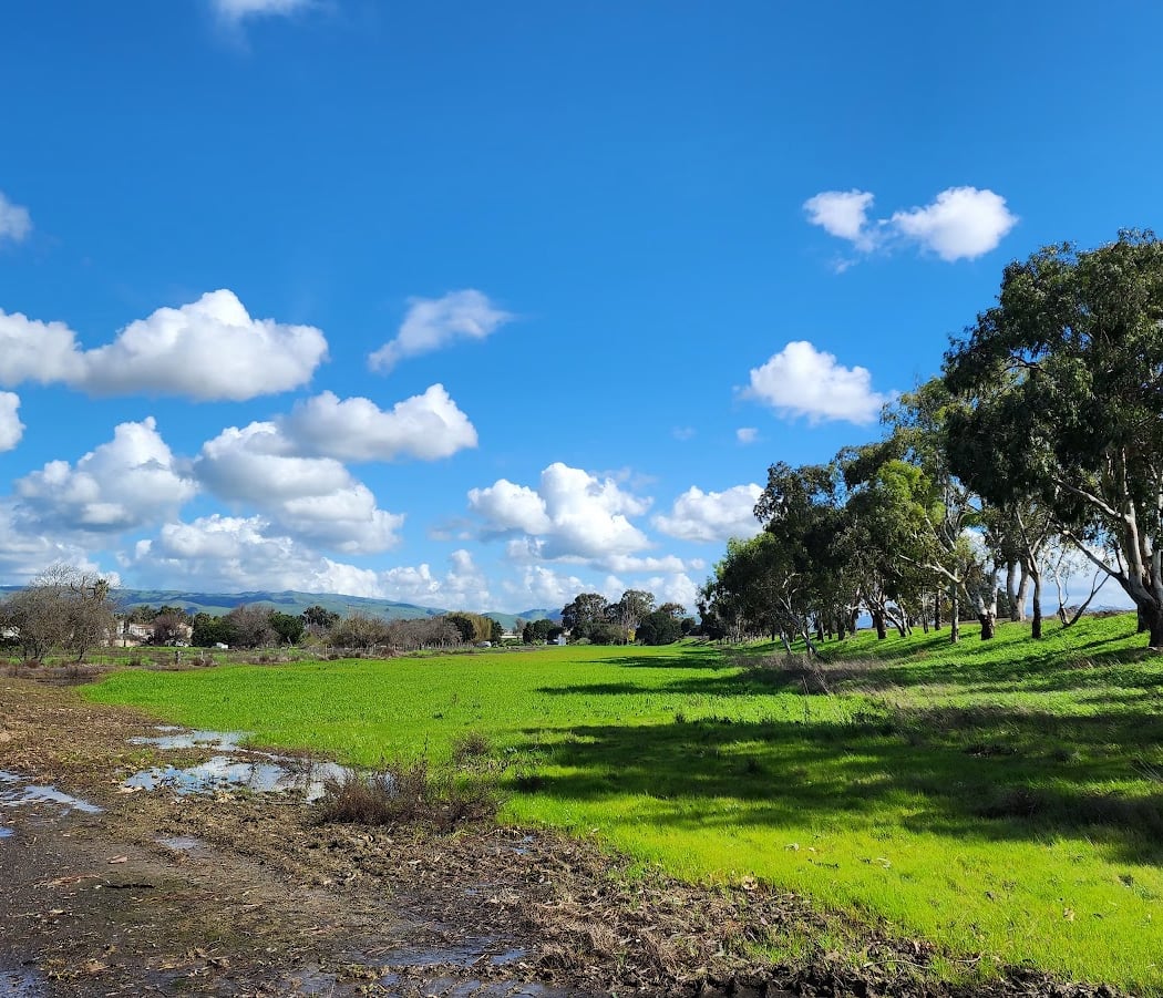 Stables Staging Area | Alameda Creek 1