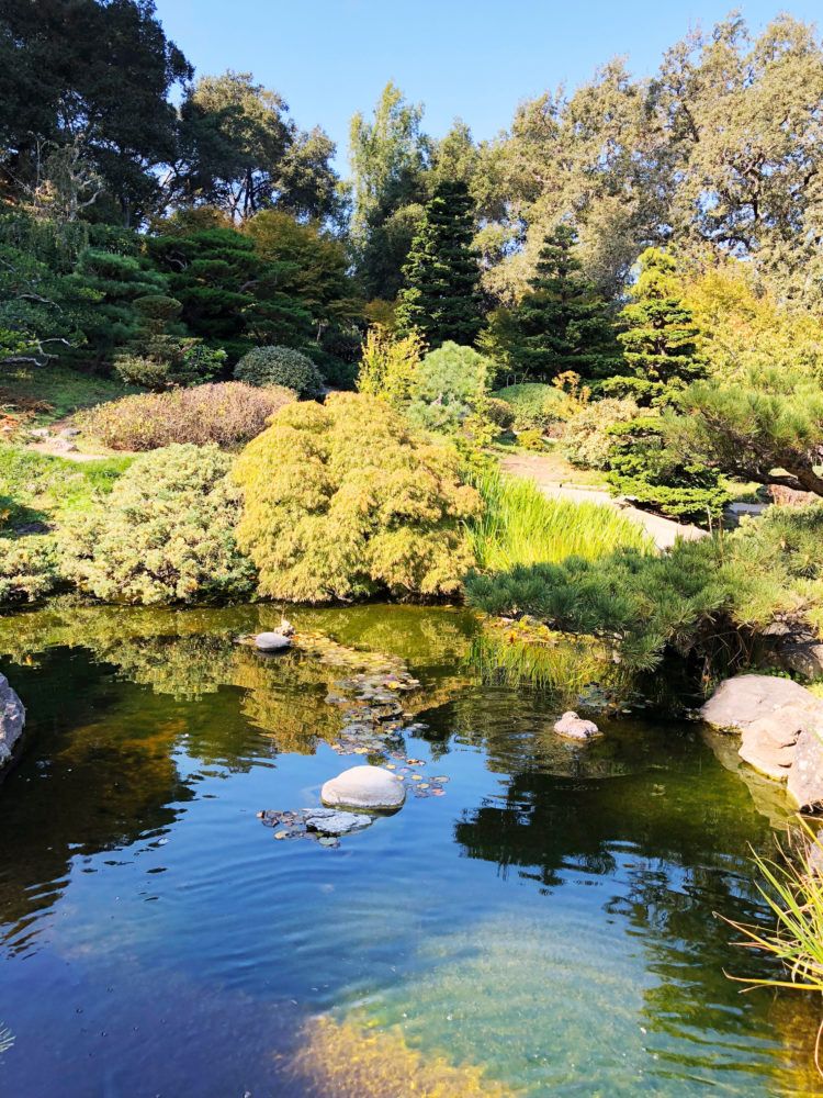 Hakone Estate and Gardens 1