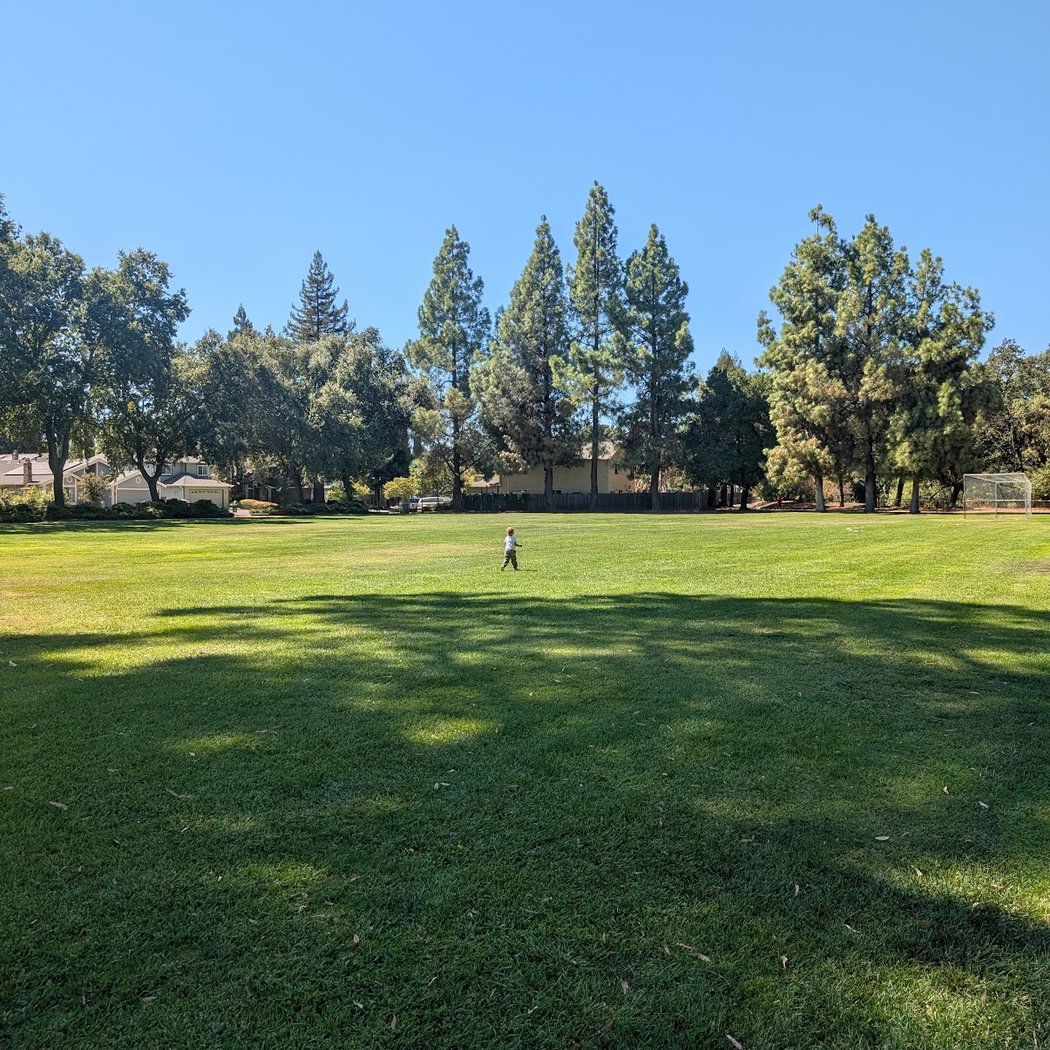 Hawkins Park 3