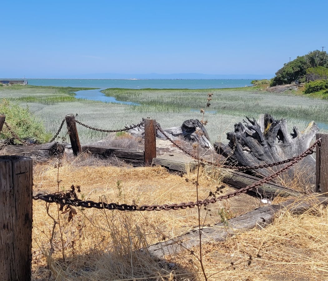 City of Burlingame Shorebird Sanctuary 2