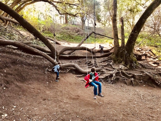 Bridgeview Trailhead 3