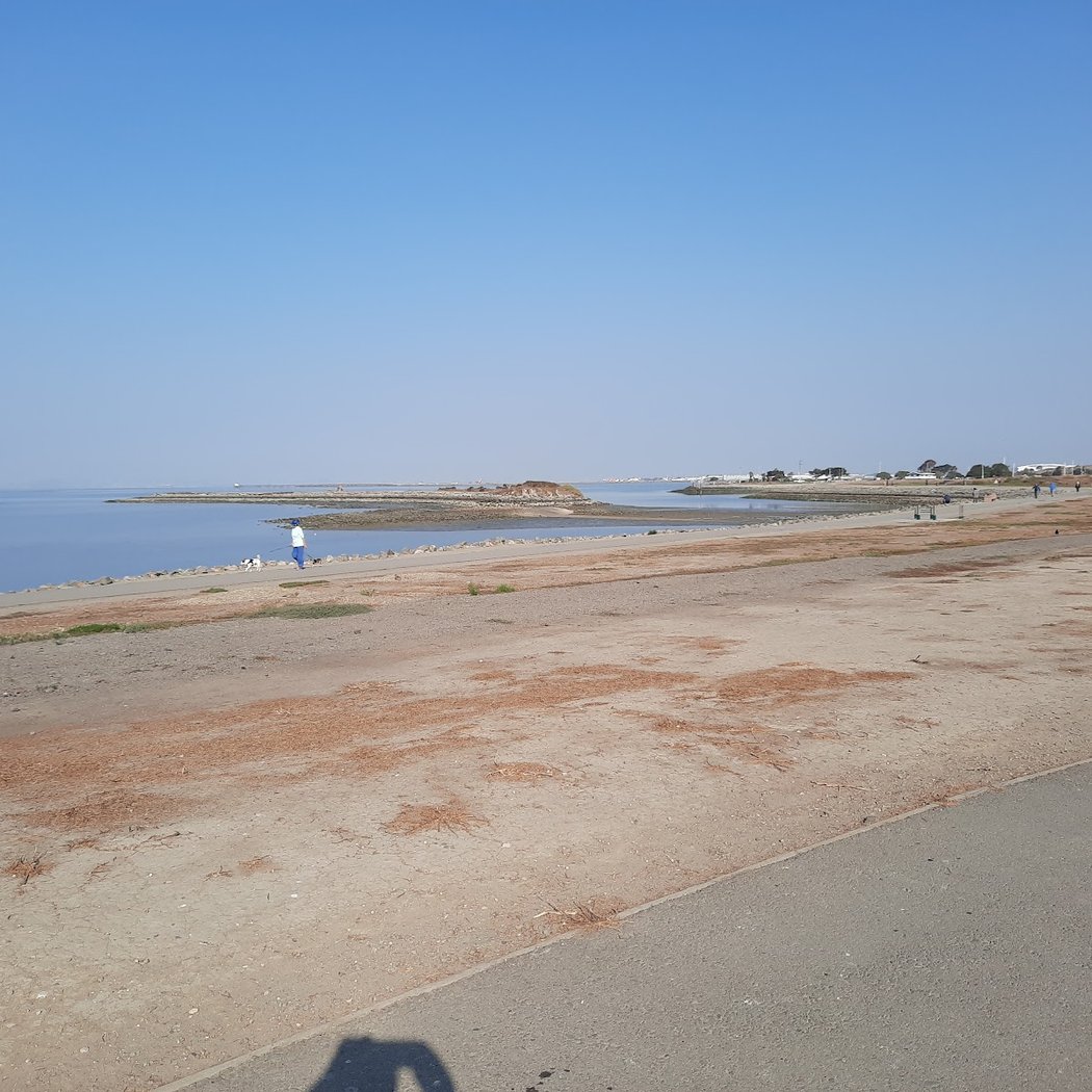 Mallard Picnic Area | Marina Park 3
